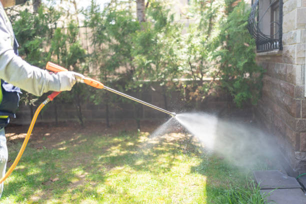 Spider Control Near Me in Frederic, WI